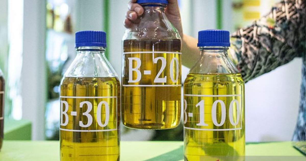 إندونيسيا تعزز استخدام زيت النخيل في الوقود الحيوي