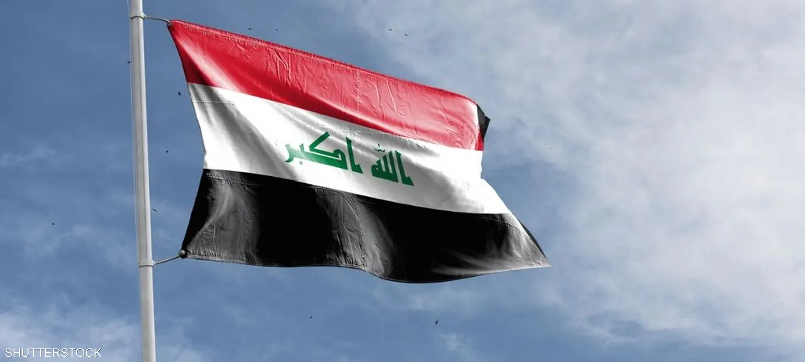 شركات المقاولات المصرية في العراق