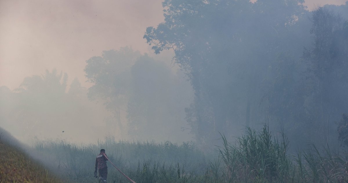 Statut des Bumiputera à Sarawak : Débats légaux et politiques