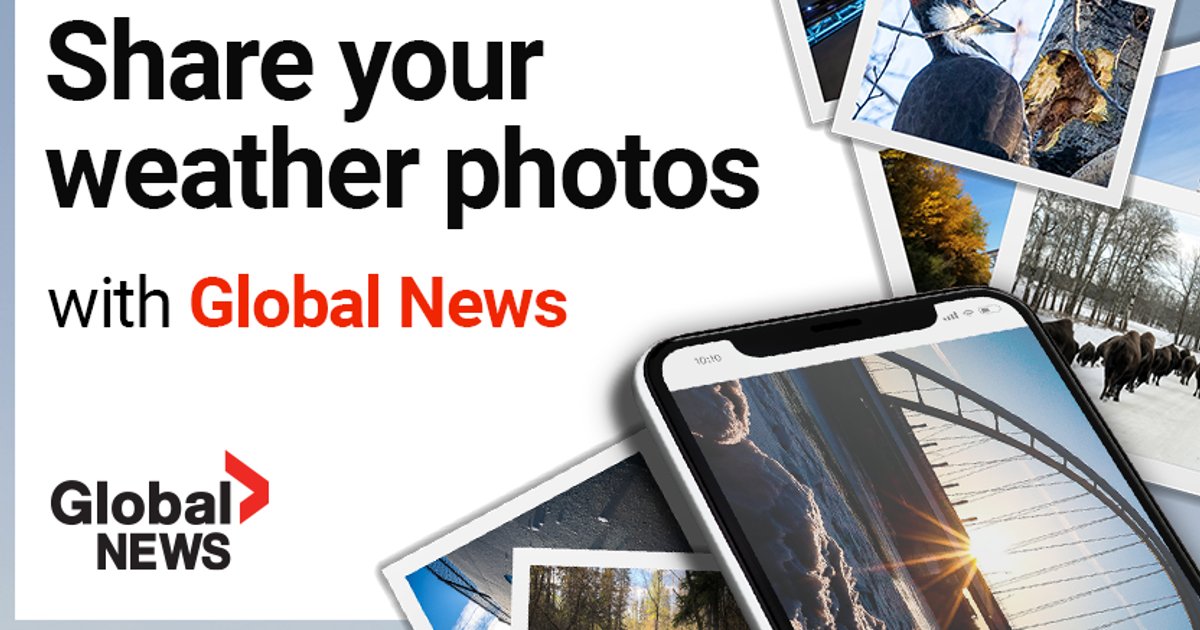 Zunehmende Suche nach globalen Nachrichten und deren Einfluss