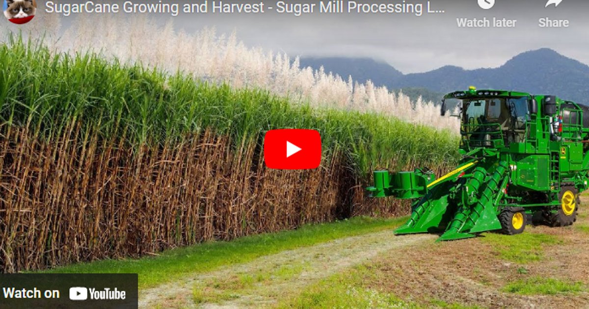 Indonesia's Sugarcane Farming Modernization Investment