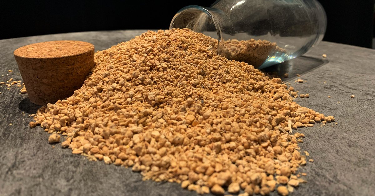 Netherlands Rejects Argentine Soybean Shipments Due to GMO