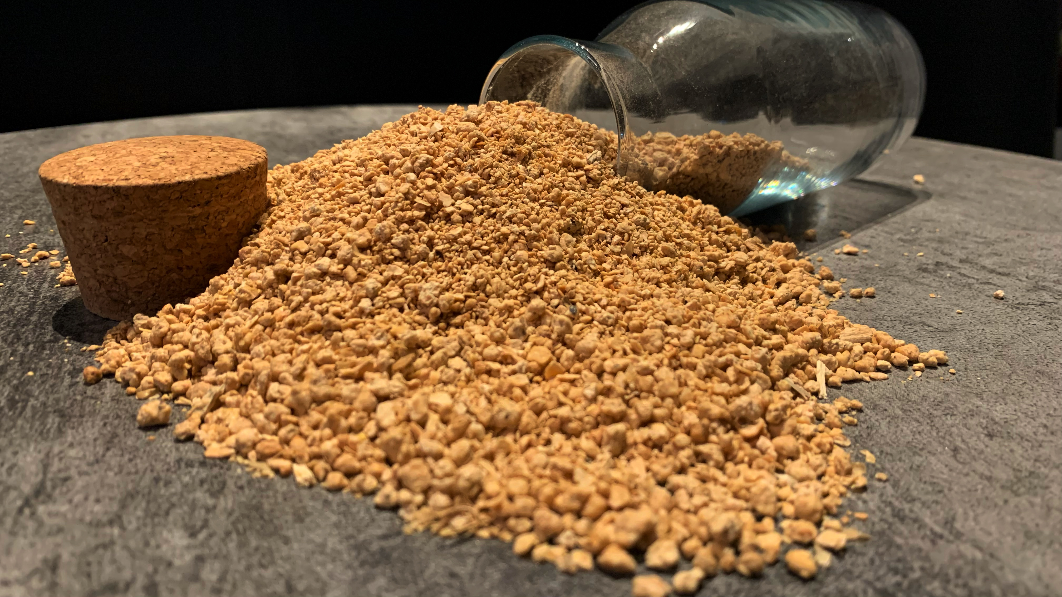 هولندا ترفض شحنات فول الصويا الأرجنتيني بسبب GMO