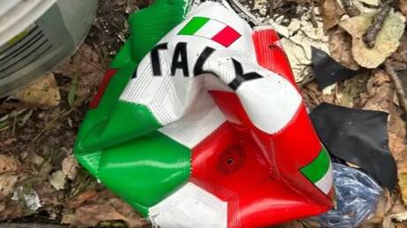 Réformes du football italien après l'échec de qualification