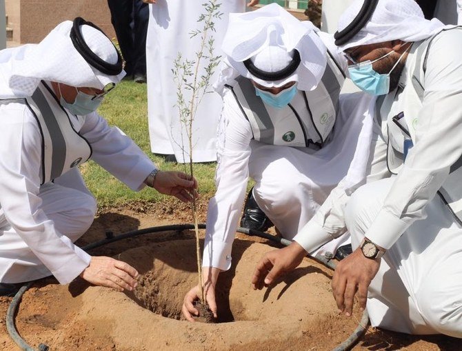 نجاح خطة التشجير ومبادرة قرم البحرين