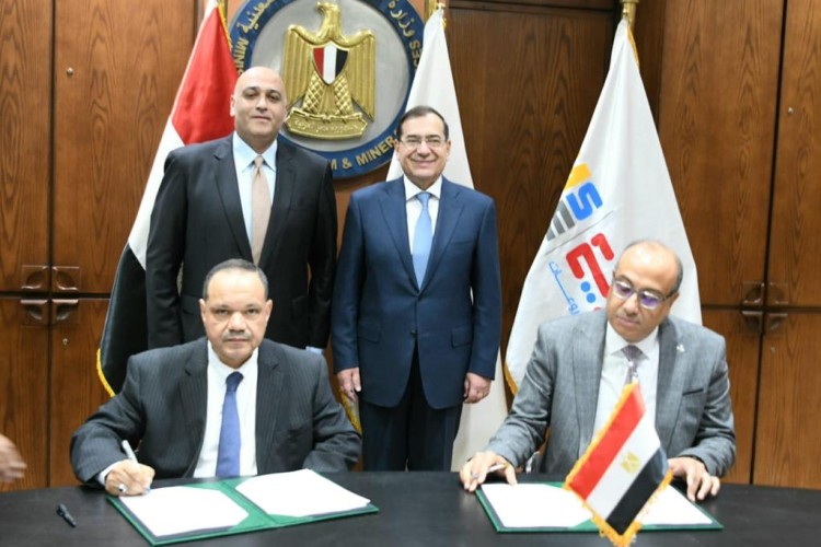 دعم الشركات الصغيرة والمتوسطة في مصر