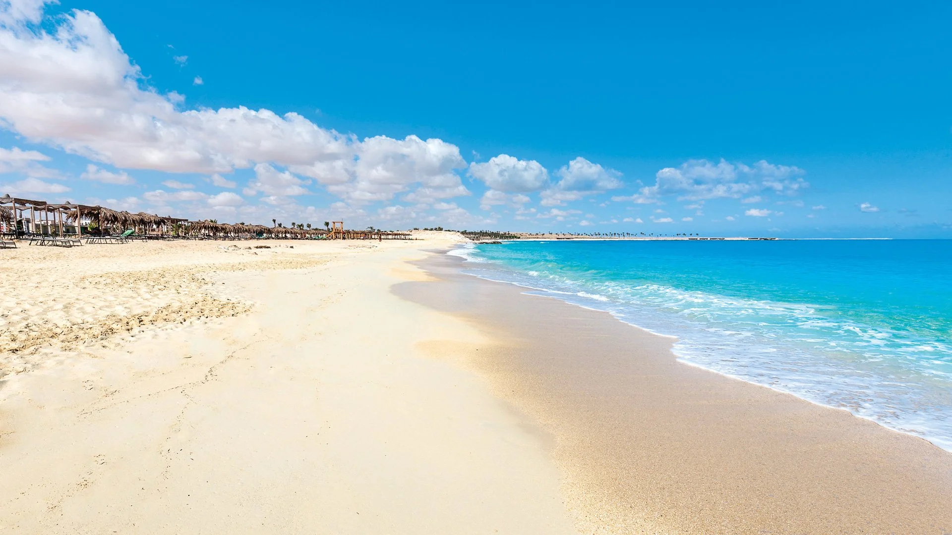 Cleaning Campaigns in Marsa Matrouh to Enhance Urban Appearance