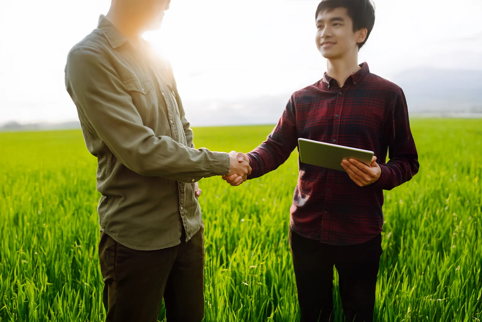 Stabilize Demand for Food Products in Local Market