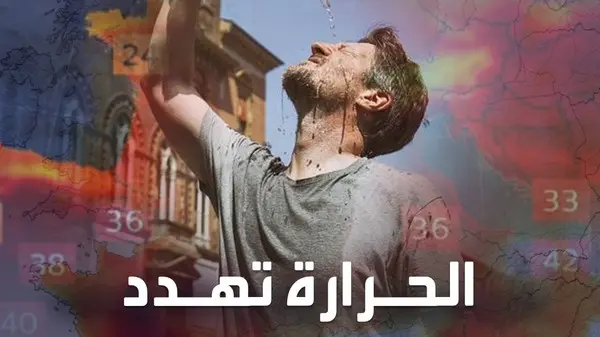 Alerte sur le cadmium dans les aliments français