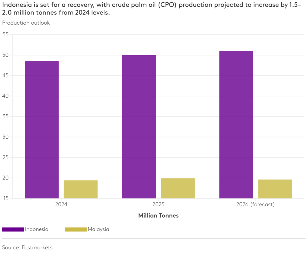 ارتفاع أسعار زيت النخيل في إندونيسيا