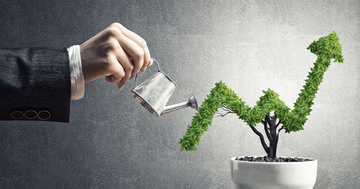 البدائل المحلية: تعزيز الاقتصاد الوطني