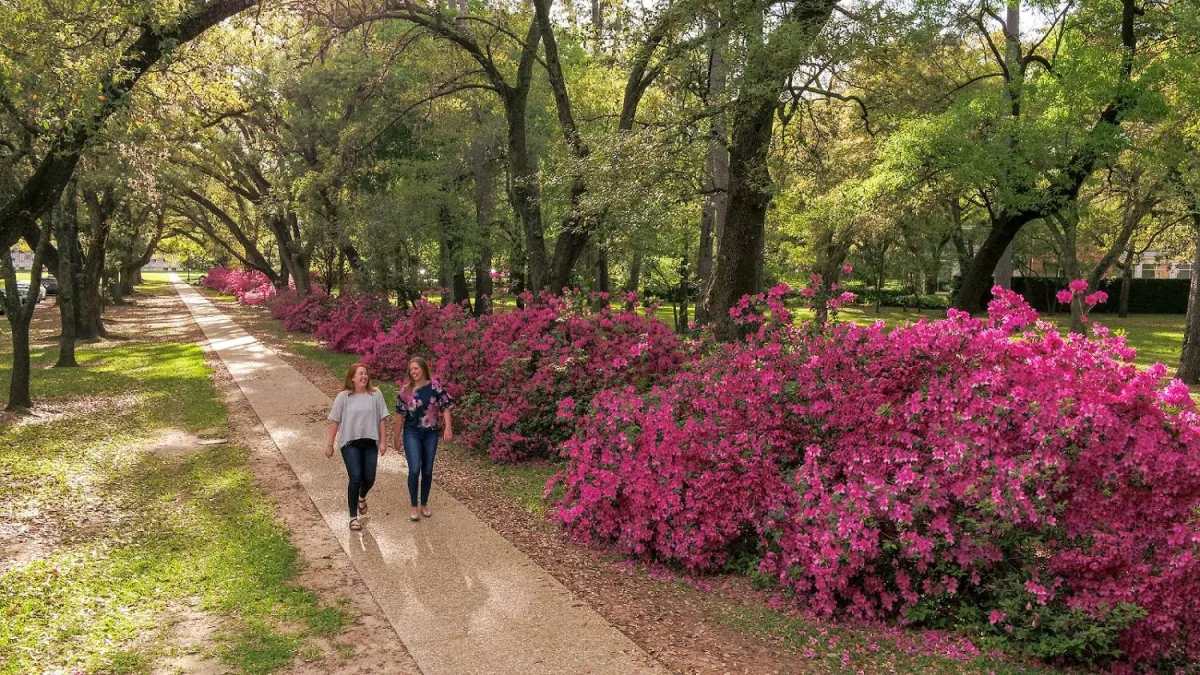 Energie im Frühling zurückgewinnen: Gewohnheiten ändern