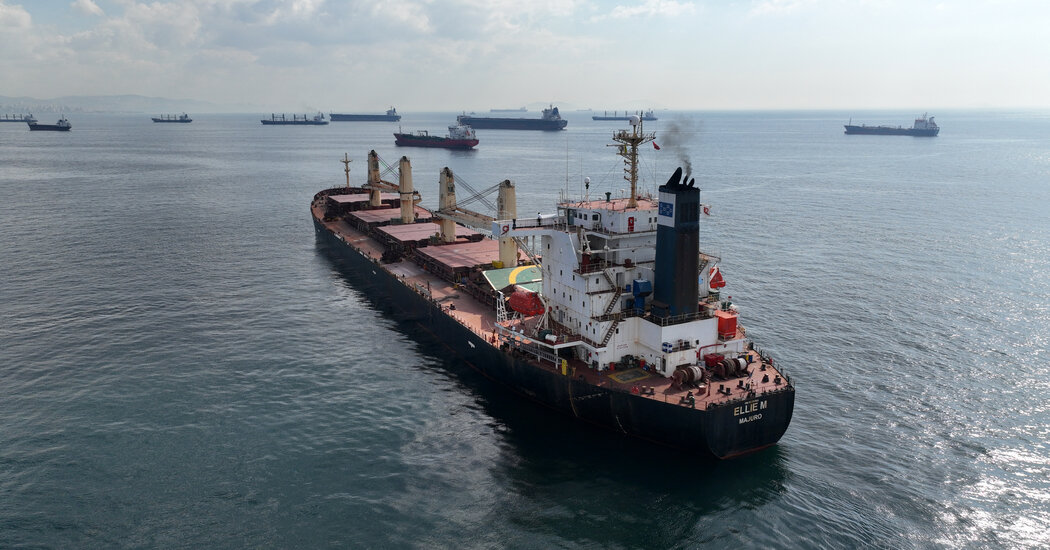 زيلينسكي: شراء إسرائيل للحبوب الأوكرانية غير مشروع