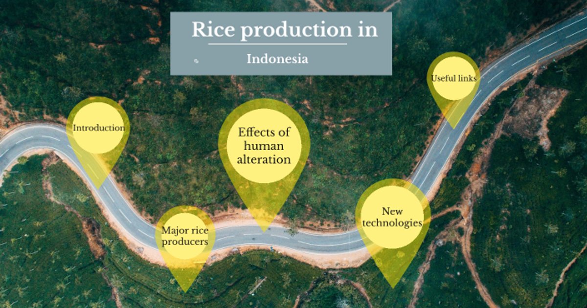 Indonesien sichert Reisproduktion während Dürre