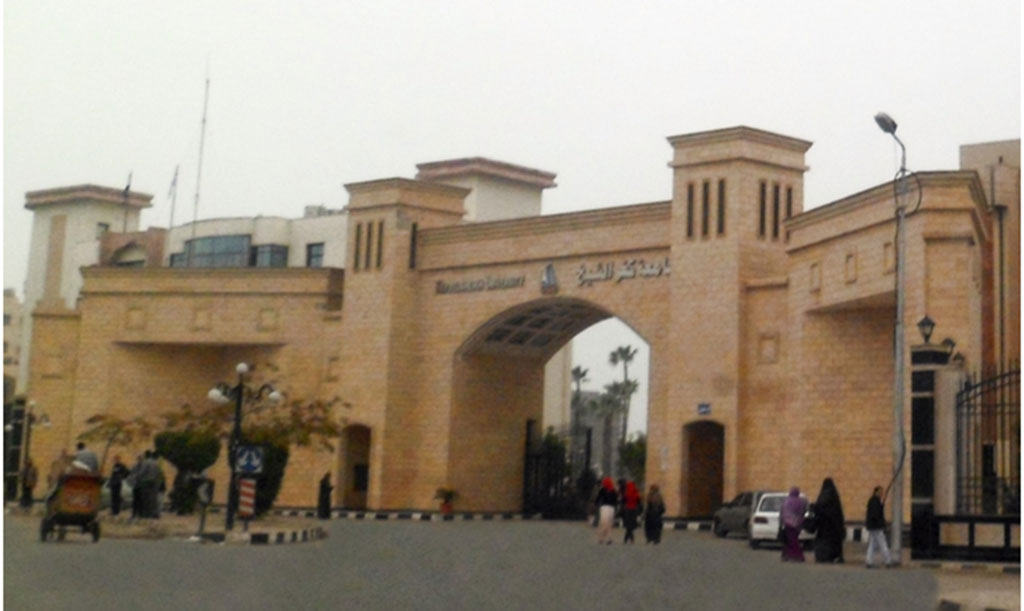 Introduction de la programmation et de l'IA dans les lycées