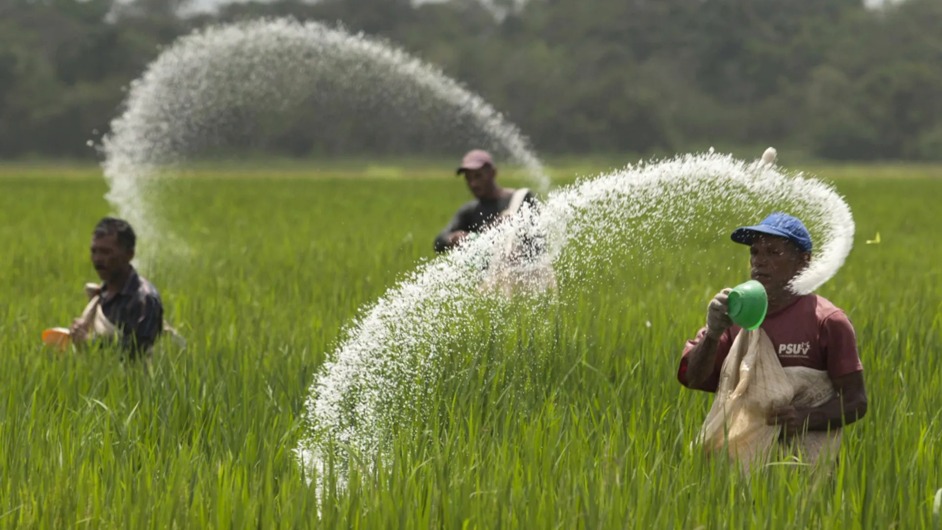 Closure of Strait of Hormuz Threatens Food Security