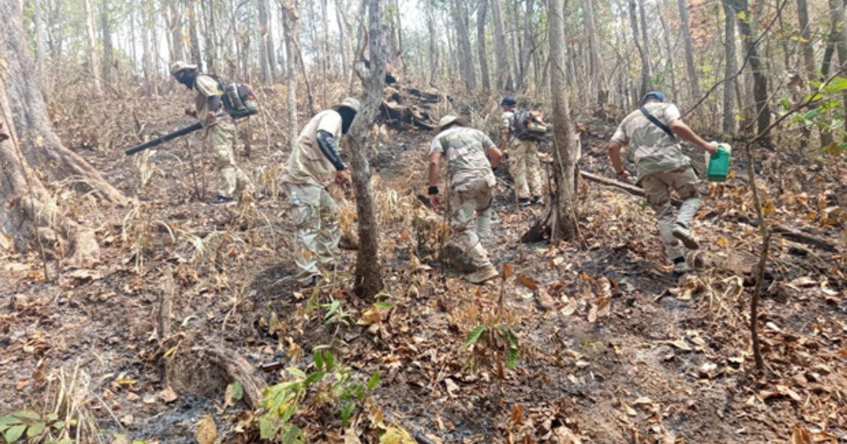 Chiang Mai : la ville la plus polluée au monde