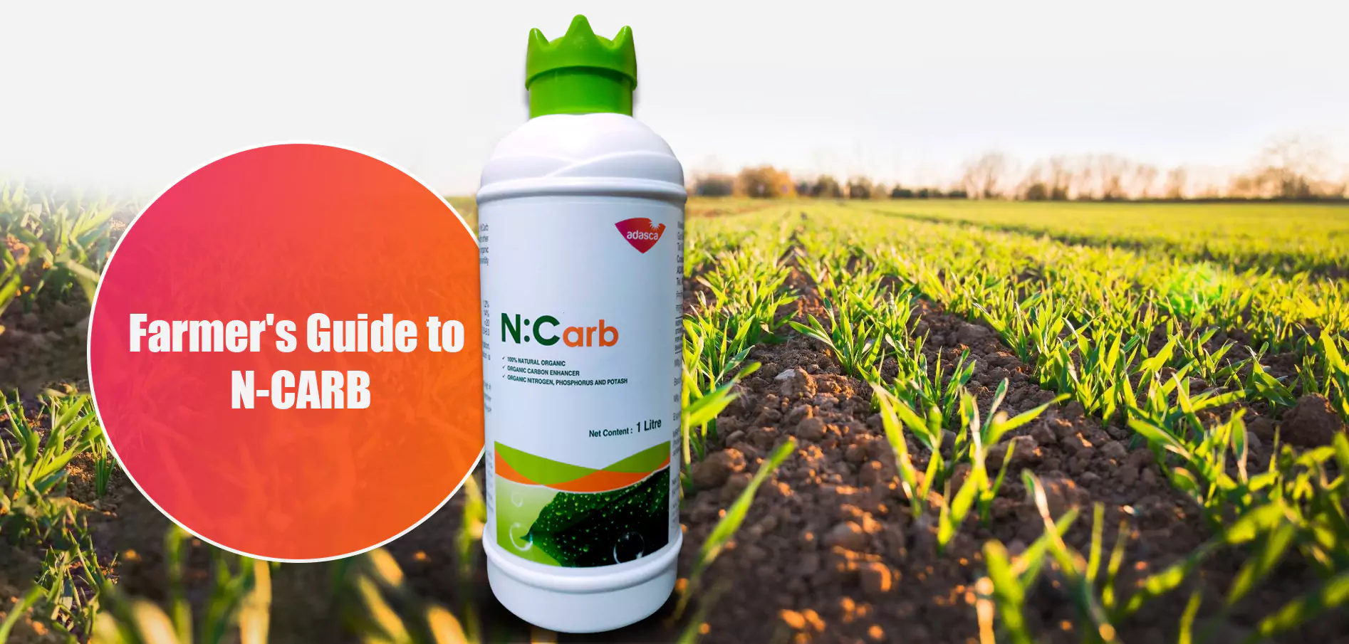 ارتفاع الطلب على الأسمدة منخفضة الكربون