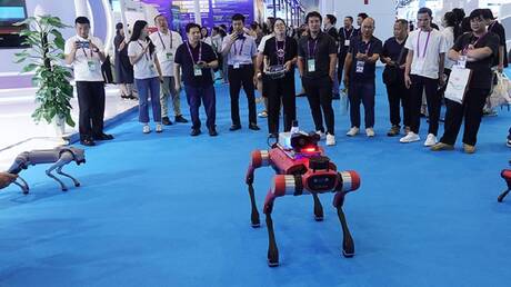 Entwicklung eines Steuerungssystems für Roboterhund