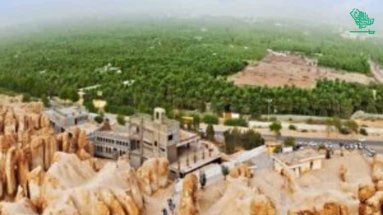 National Afforestation Program in Saudi Arabia