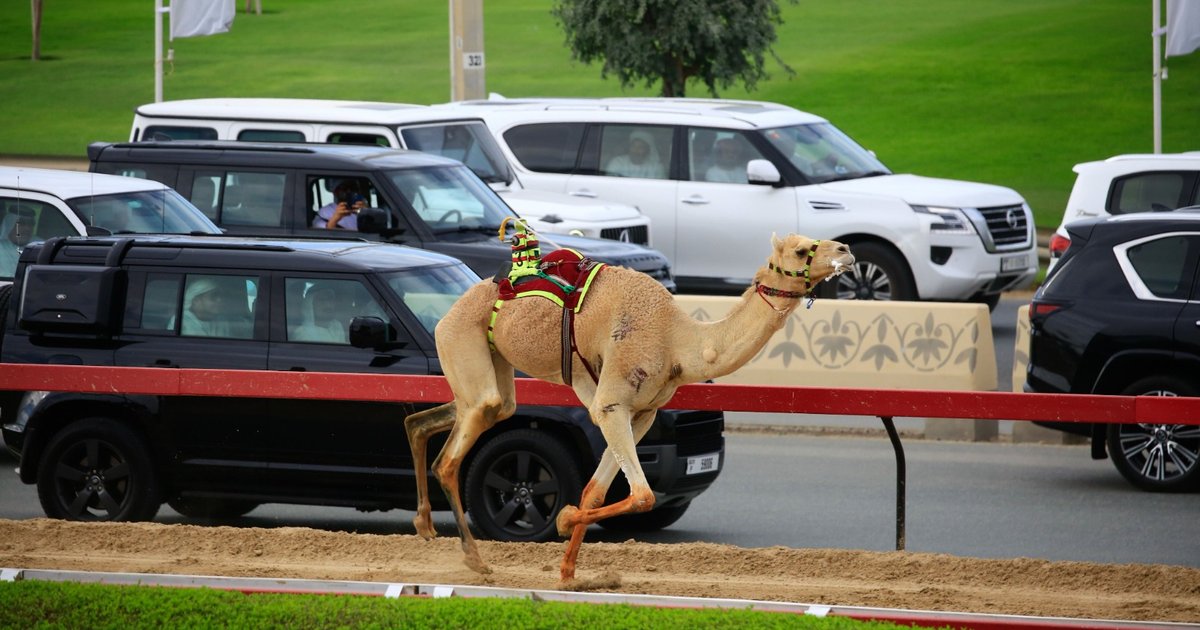 Défi "Swat": Mohammed ben Rachid loue le niveau des équipes