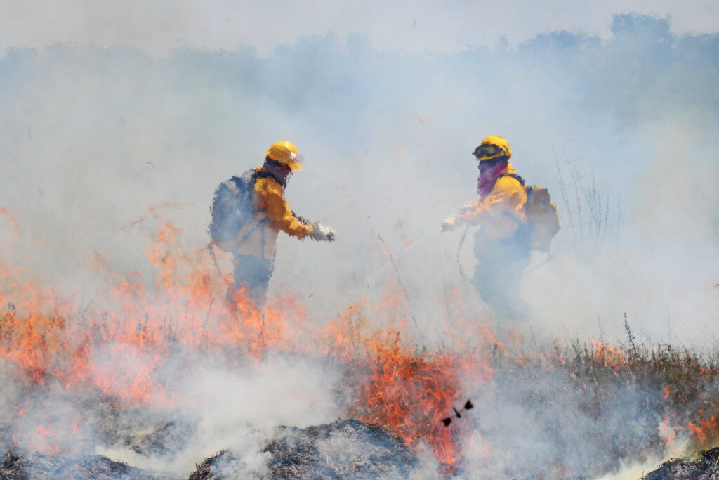 تراجع فقدان الغابات الاستوائية في 2025