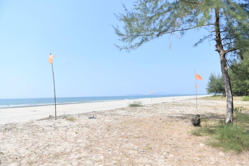 مراجعة مشروع الجسر البري: الشفافية والجدوى الاقتصادية