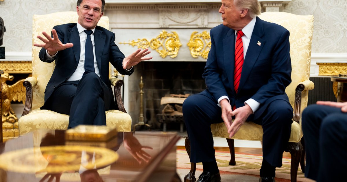 Selenskyj und niederländischer Premierminister im Gespräch