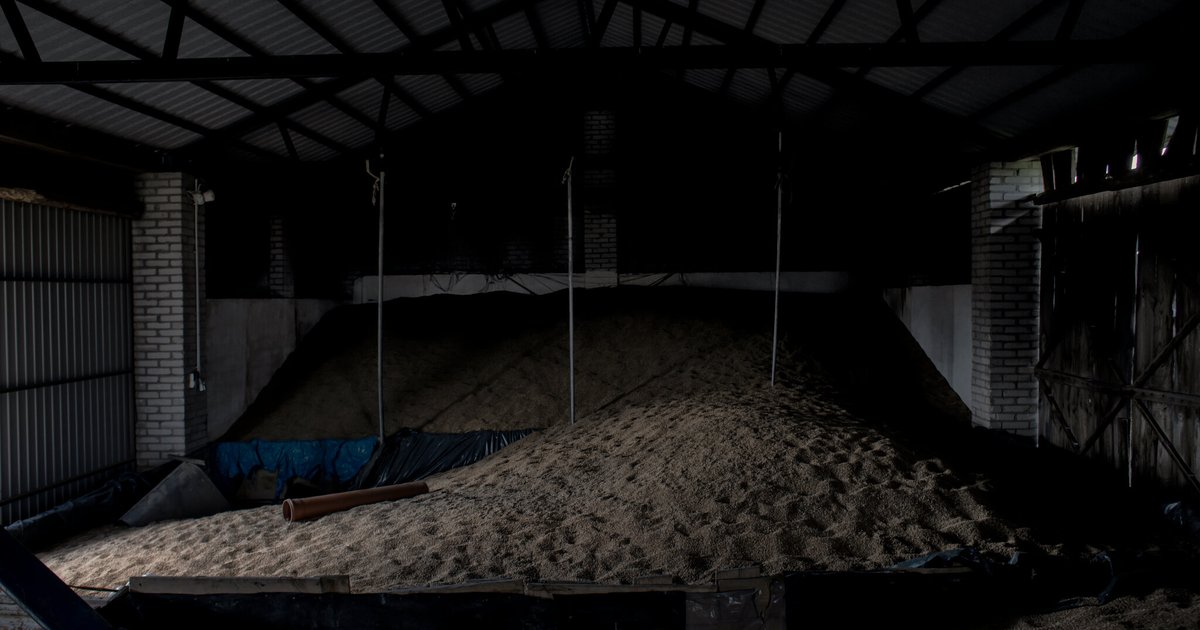 إسرائيل تستورد قمحاً مسروقاً من أوكرانيا: أزمة جديدة