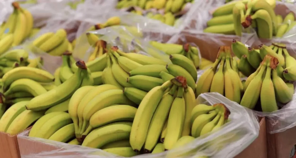 Tesco gives away 38,000 bananas after order error