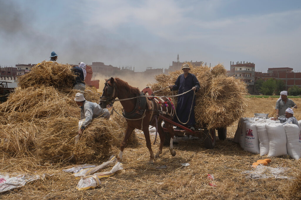 تأثير الحرب في إيران على إمدادات الغذاء