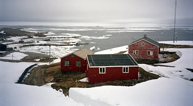 الإمارات تنضم إلى معاهدة سفالبارد لدعم البحث العلمي