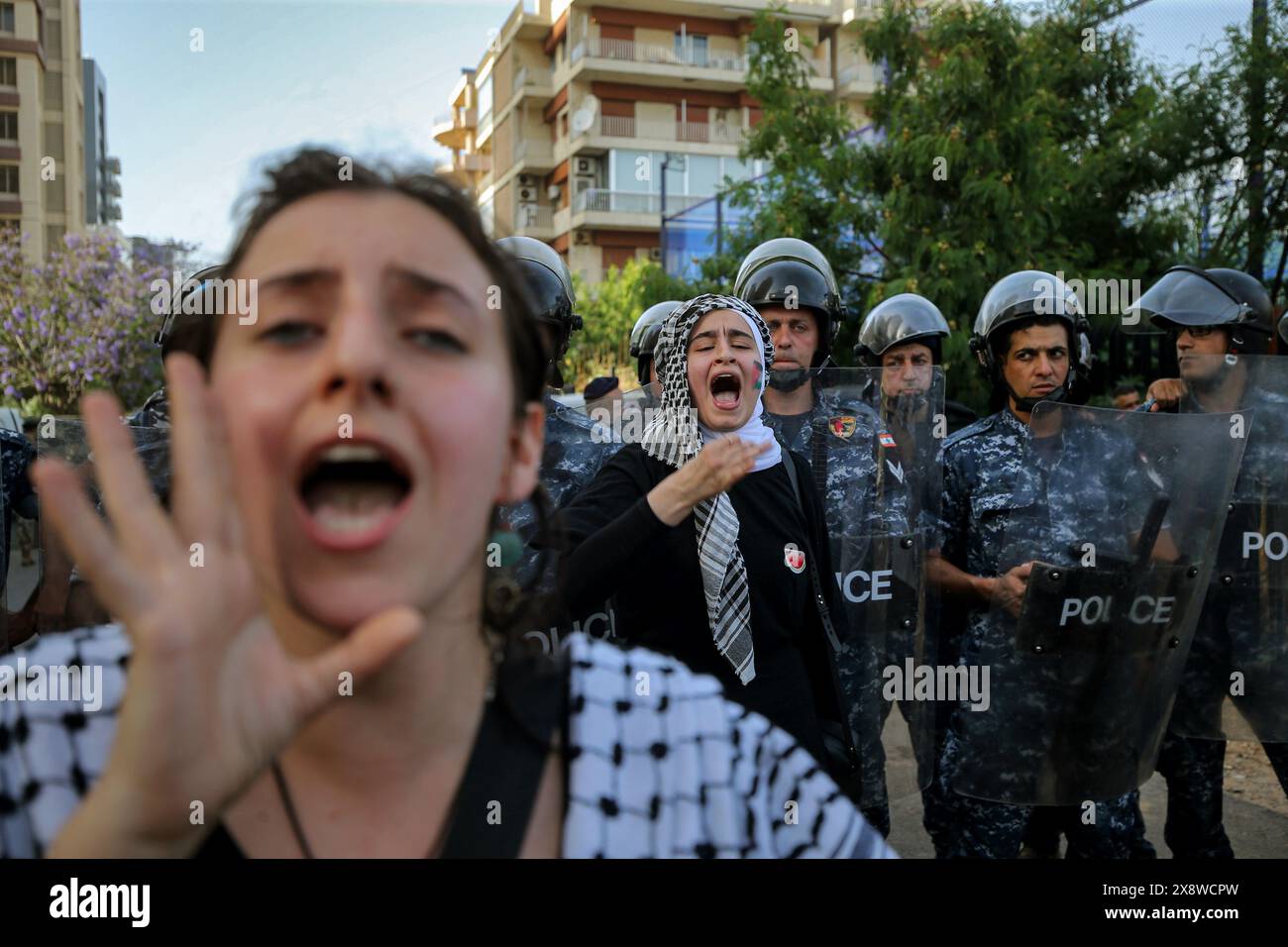 Manifestation d'amour des Libanais pour l'Égypte à Beyrouth