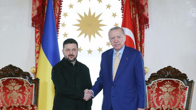 Erdogan Affirms Turkey's Support for Peace Talks with Ukraine