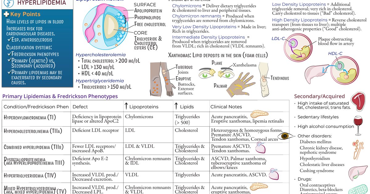 Warnings About High Blood Lipids and Their Causes