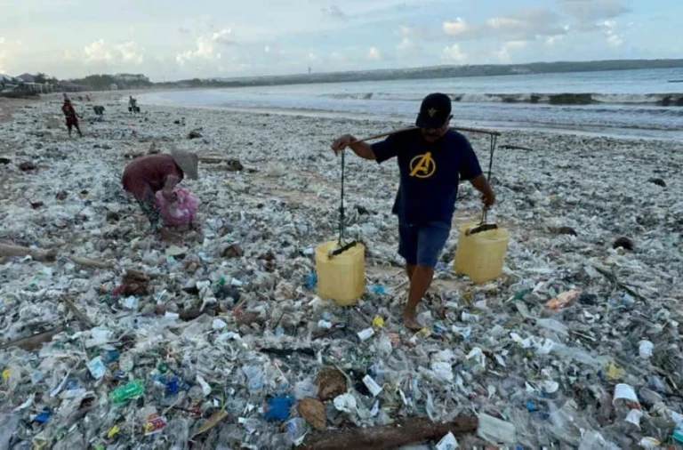 بالي تمنع النفايات العضوية في مكب سوونغ