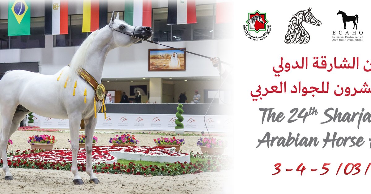 Festival international du cheval arabe 27 et Haras de Dubaï