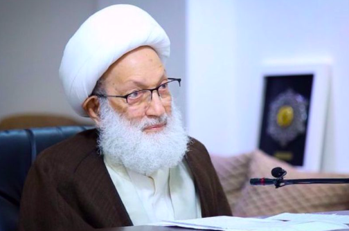 حماية الجنسية مسؤولية وطنية وفقاً للنائب د. سرور