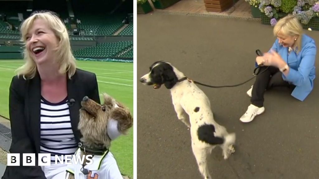 وداع كارول كيركود من بي بي سي بعد 28 عاماً