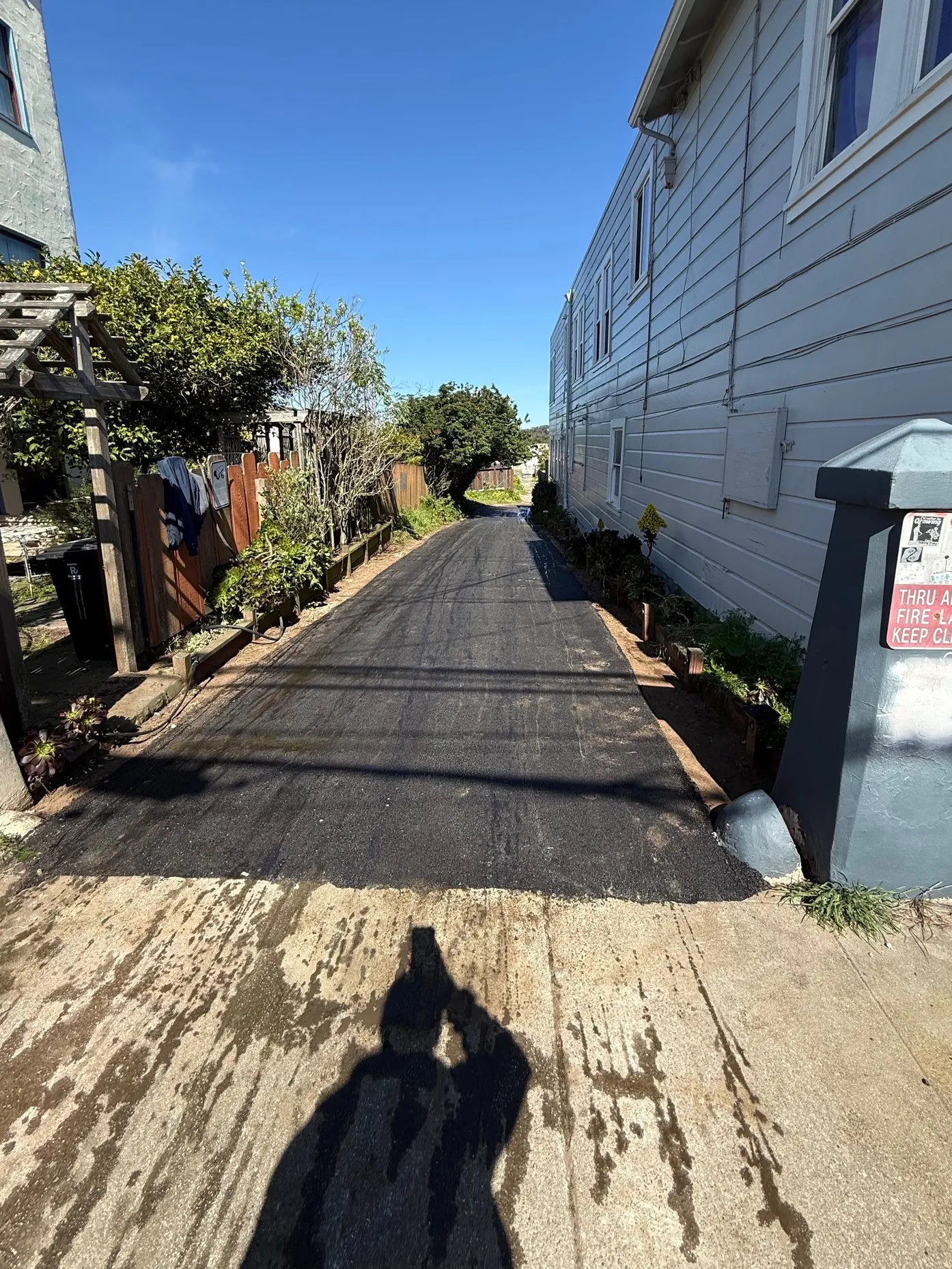 مشروع فني مبتكر في سان فرانسيسكو