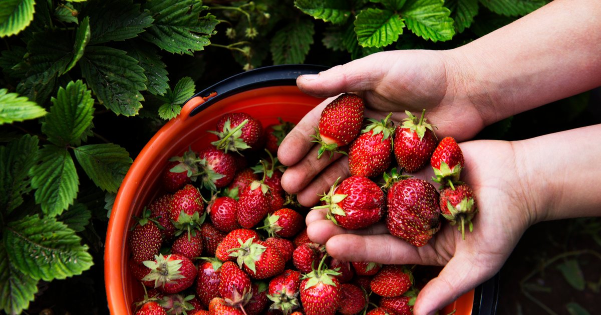 توسيع منصة فيردانت بارتنرز الاستشارية في الإمارات