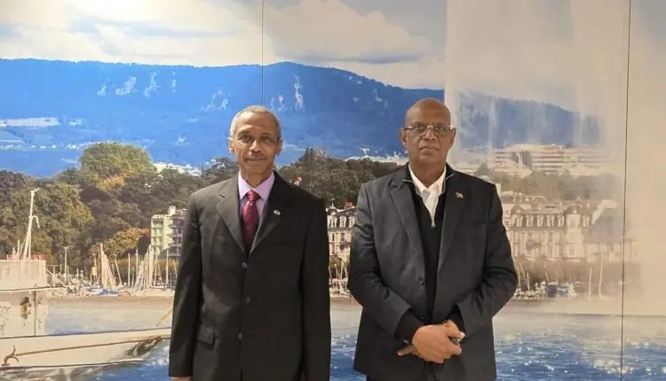 أمطار الخريف في السودان تكشف حقول الألغام