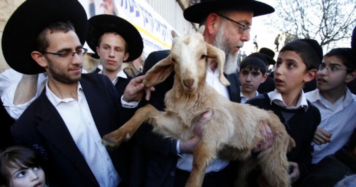 محاولات إدخال قرابين إلى الأقصى في القدس