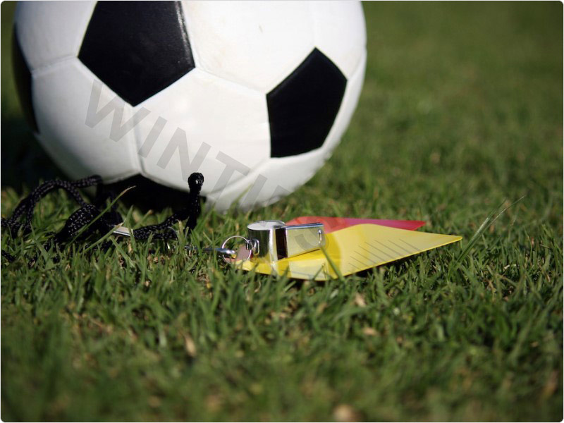 Erste Emiratin wird Schiedsrichterin der Elite