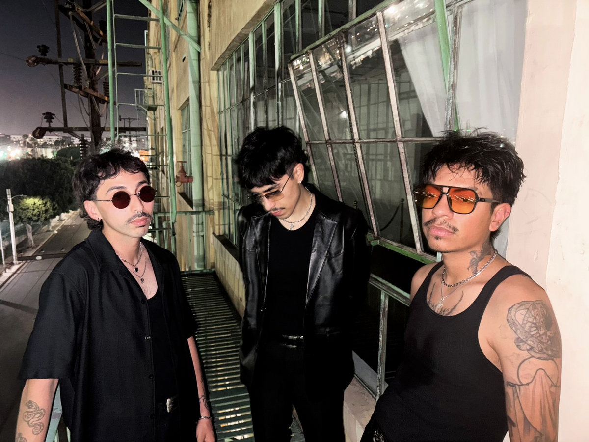 Proposed French Law Sparks Debate Between Police and Customs