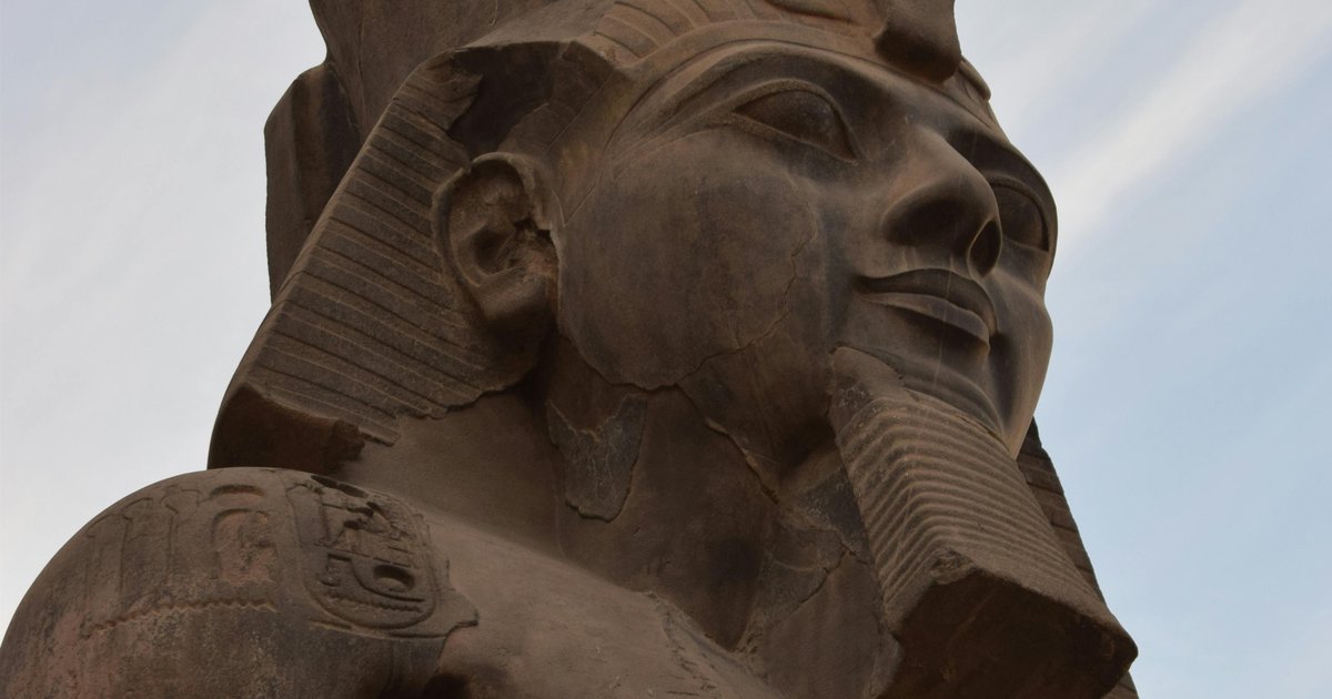 Zika's Shells Showcase Egyptian Heritage Globally