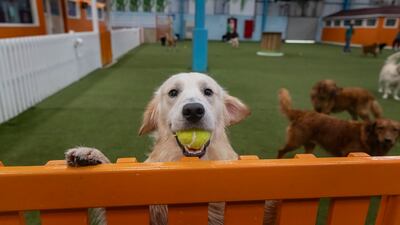 Stunning Photos Capturing Unique Moments Worldwide