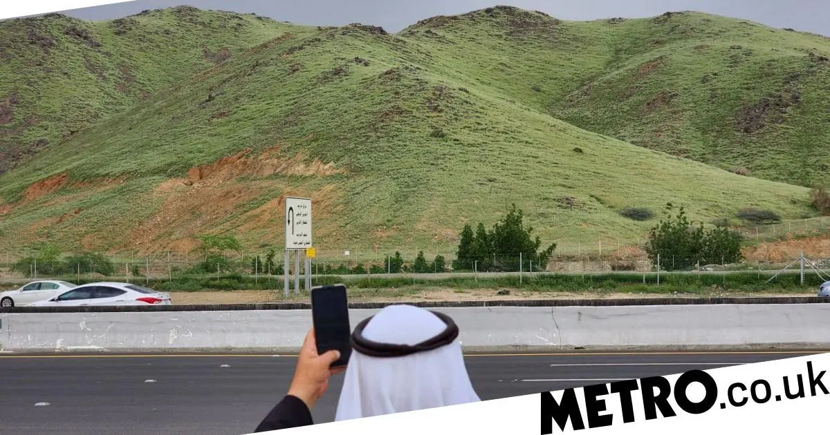 Regen bringt Leben zurück nach Rawdat Al-Khashm