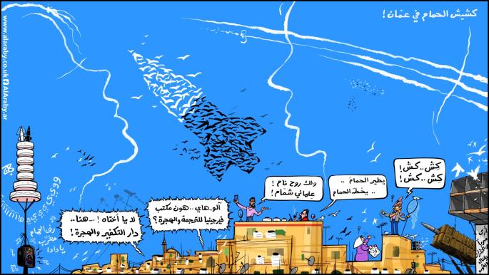 Pigeon Show in Amman: Unique Environmental Event