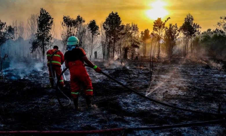 Incendies de forêt en Indonésie : enquêtes sur les causes